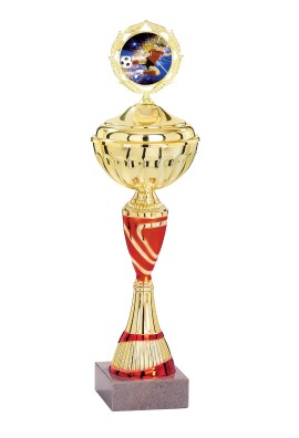 Coupe Personnalisée Économique : 1621W-C