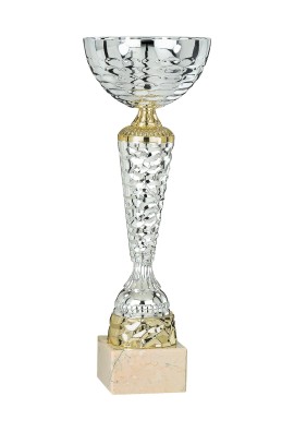 Coupe Économique Métal : 1861