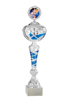 Coupe Personnalisée Métal : 1971W-C