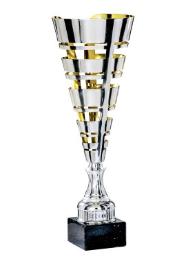 Coupe Laser Métal : 3871