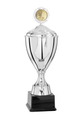 Coupe Personnalisée Métal : 4401W-C