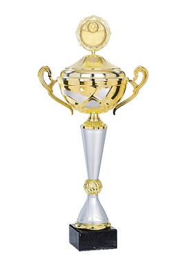 Coupe Personnalisée Métal : 4661W-C