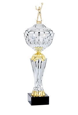 Coupe Personnalisée Métal : 4851W-D