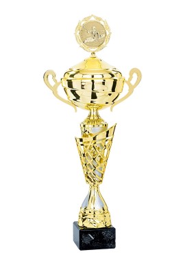 Coupe Personnalisée Métal : 5271W-C