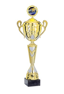 Coupe Personnalisée Métal : 5421W-C