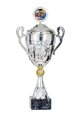 Coupe Personnalisée Métal : 5781W-C