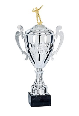 Coupe Personnalisée Métal : 5701W-D