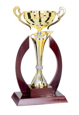 Coupe Prestige Bois et Métal : 5931