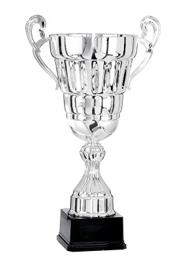 Coupe Prestige Métal : 6701