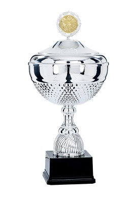 Coupe Personnalisée Métal : 6781W-C