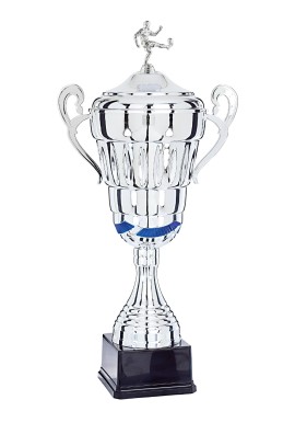 Coupe Personnalisée Métal : 6981W-D