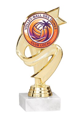 Trophée Personnalisé Votre Logo 133-46-LO