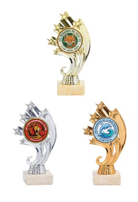 Trophée Personnalisé Votre Logo 134-11-LO