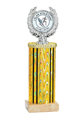 Trophée Personnalisé Votre Logo 135-81-LO