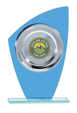 Trophée Personnalisé Votre Logo 136-81-LO