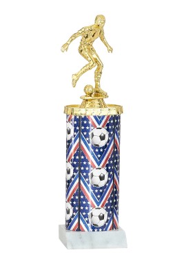 Trophée Football 86-31