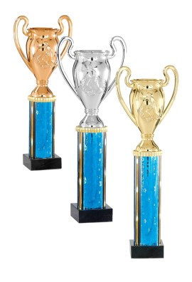 Trophée Football 84-31