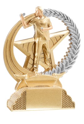 Trophée Fléchettes & Dart 31342