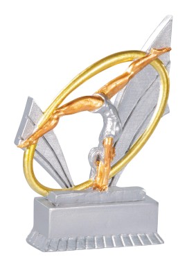 Trophée Gymnastique 31411