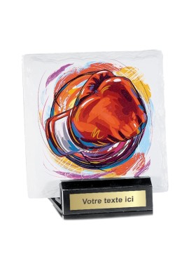 Trophée Boxe45107