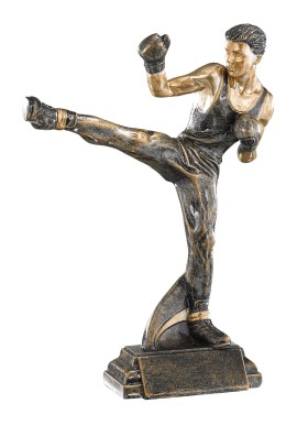 Trophée Boxe Française 52558