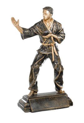 Trophée Karaté 52533