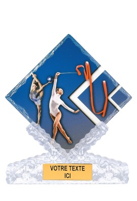Trophée Gymnastique 46112
