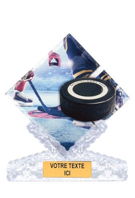 Trophée Hockey sur glace 46113