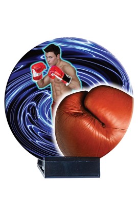 Trophée Céramique Boxe B03