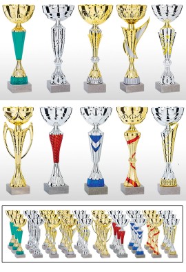 Lot de 30 Coupes : 2025-8