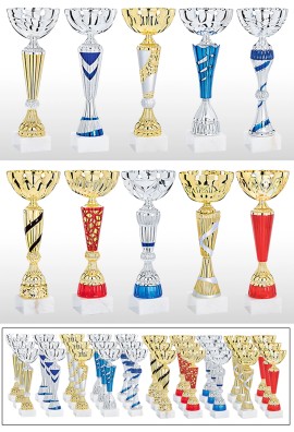 Lot de 30 Coupes : 2025-7