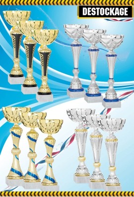 Lot de 12 Coupes : 2022-3