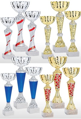 Lot de 12 Coupes : 2025-5