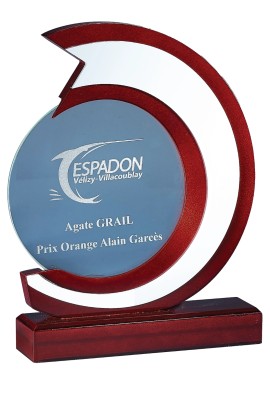 Trophée Verre & Bois Personnalisé 164-61-CLI