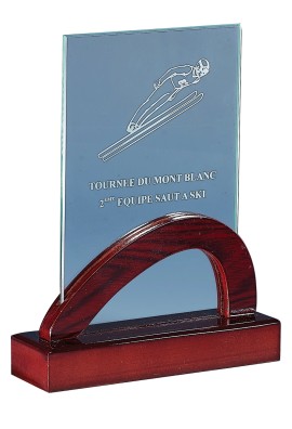 Trophée Verre & Bois Personnalisé 165-11DE-LO