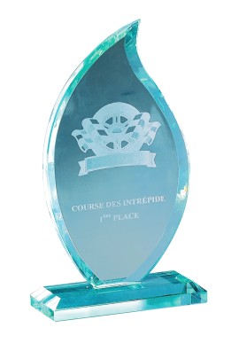 Trophée Verre Personnalisé 166-61-CLI
