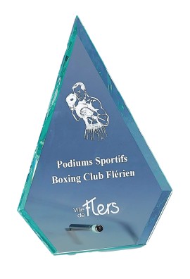 Trophée Verre Personnalisé 168-21-LO
