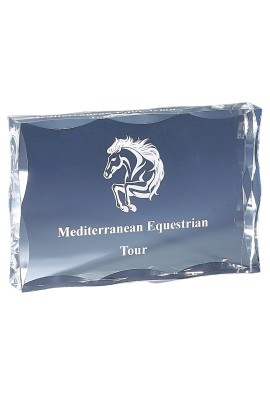 Trophée Acryglass Personnalisé 177-01-LO