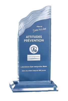 Trophée Acryglass Personnalisé 177-51-CLI