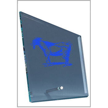 picture_300012_317165