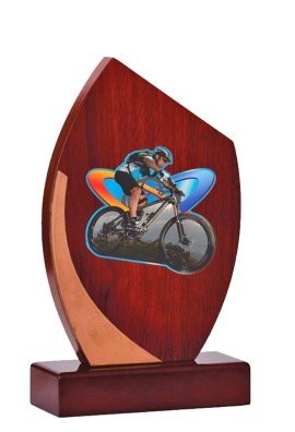 Trophée Bois Personnalisé 125-41-BJ