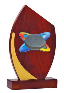 Trophée Bois Personnalisé 125-43-BJ