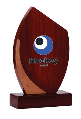 Trophée Bois Personnalisé 151-11-LO