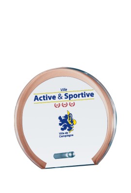 Trophée Verre Personnalisé 155-01-LO