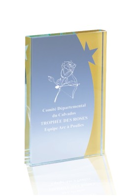 Trophée Verre Personnalisé 168-33-CLI