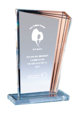 Trophée Verre Personnalisé 172-41-CLI