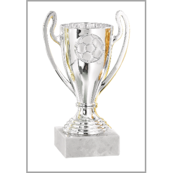 picture_320017_343820