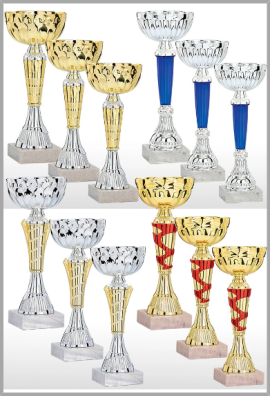 Lot de 12 Coupes : 2025-1