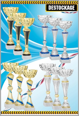 Lot de 12 Coupes : 2022-3