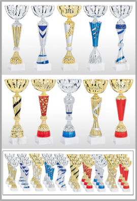 Lot de 30 Coupes : 2025-7